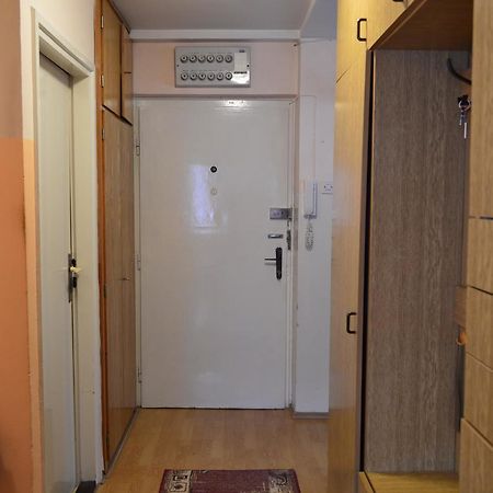 Apartman Nikolic 보르 외부 사진