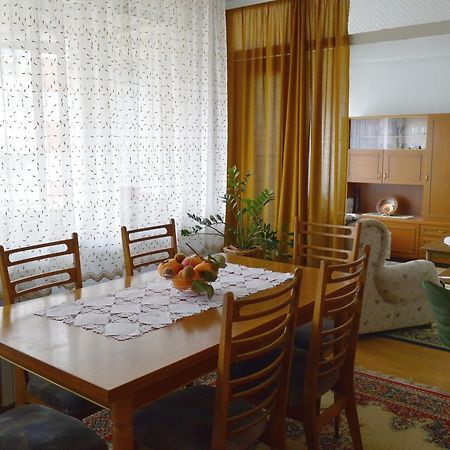 Apartman Nikolic 보르 외부 사진