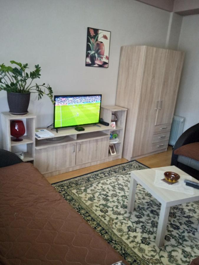Apartman Nikolic 보르 외부 사진