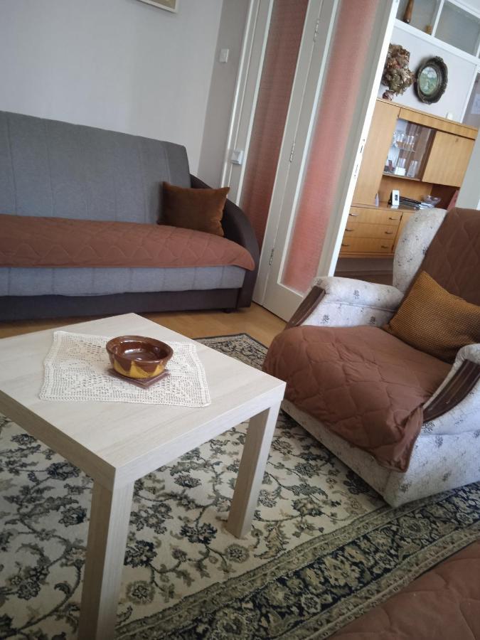 Apartman Nikolic 보르 외부 사진