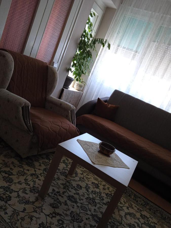 Apartman Nikolic 보르 외부 사진